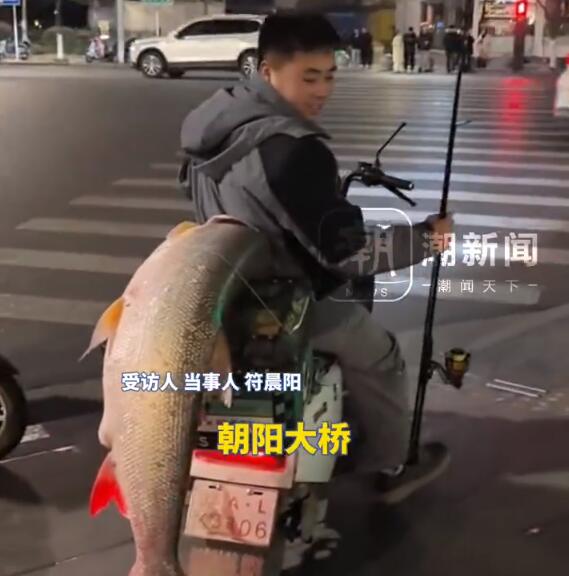 男子钓到56斤鳡鱼绕城5小时炫耀