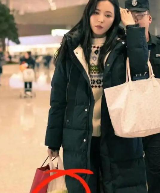 曾黎提着大白菜现身机场