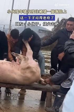 小伙按年猪没按住被猪一脚踹脸上