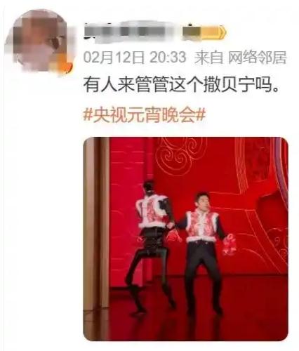 撒贝宁和机器人一出场