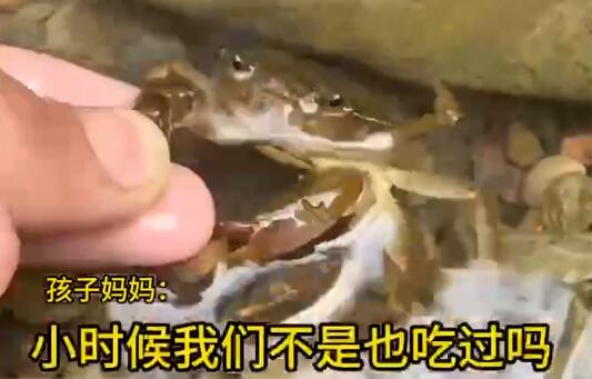 男童生吃蟹腿寄生虫钻进心脏