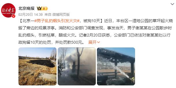 男子在公园散步乱扔烟头引发火灾