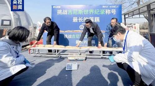 武汉超3米长莲藕刷新世界记录