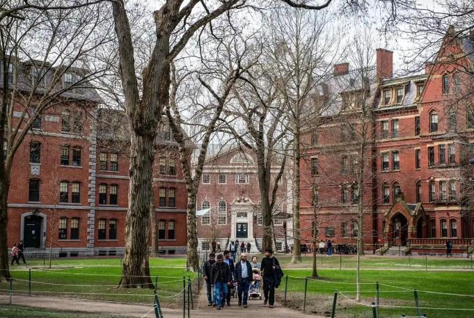 美暂停哈佛大学招收国际学生资格