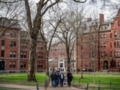 美暂停哈佛大学招收国际学生资格 这是什么情况？