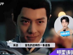 肖战认证藏海狐狸塑 这是什么情况？