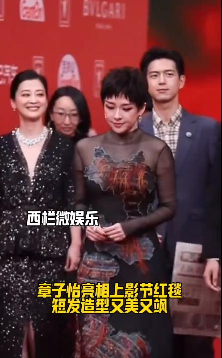 章子怡短发造型变化巨大