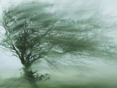 特大暴雨雷暴大风 台风韦帕即将登陆 携风雨影响我国南海和华南地区！