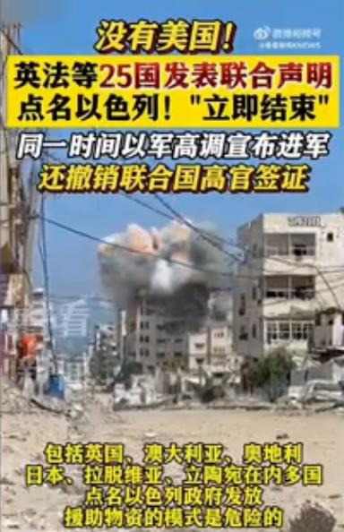 英法等25国发表联合声明