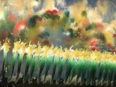 世运会烟花秀太美了 市民纷纷拍照！
