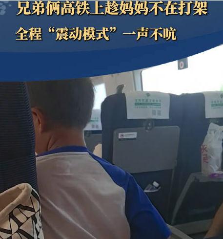 俩小孩高铁上静音打架只动手不动嘴