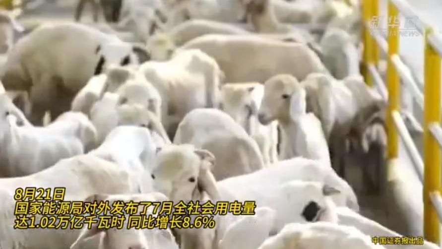 全球首次!中国月度用电量破万亿大关
