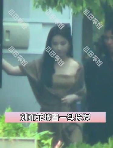 刘亦菲穿抹胸长裙好优雅