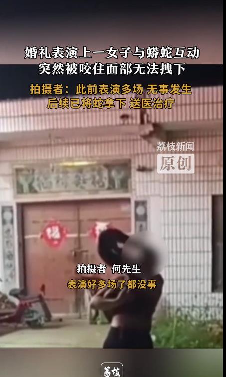 女子表演与蟒蛇亲嘴 未张嘴就遭攻击