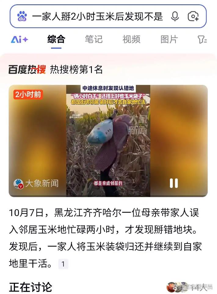 一家人掰2小时玉米后发现不是自家地