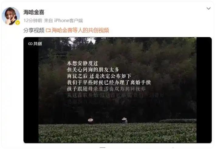 李亚鹏与海哈金喜离婚