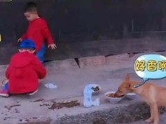《爸爸去哪儿4》9年未解之谜破案了 这是什么情况？