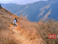 男子10年进山371次捡了2万多斤垃圾 这是什么情况?