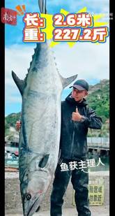 男子钓出227.2斤鱼王引围观