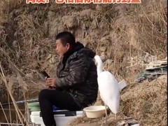 男子钓鱼偶遇“矜持”白鹭 这是什么情况?