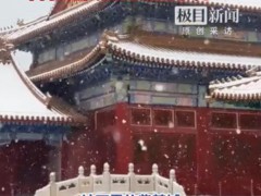 人人人人故宫雪人人人人 这是什么情况?