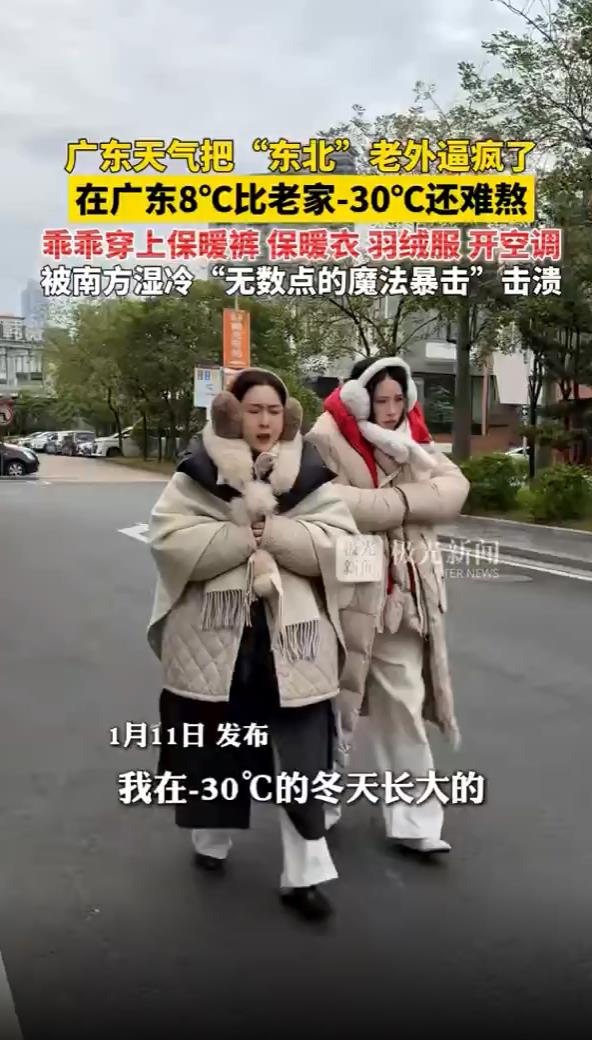 广东的冷要把老外逼疯了