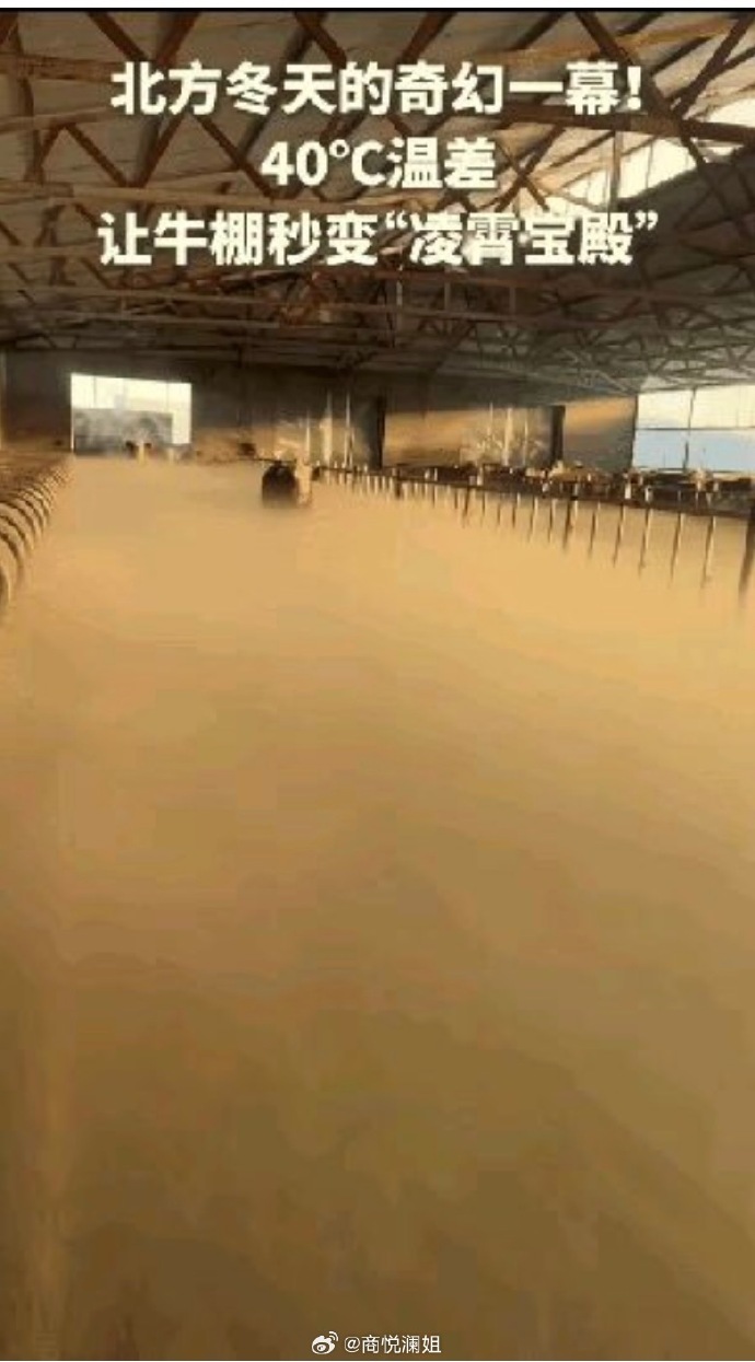零下30℃ 牛棚一开仿佛&ldquo;凌霄宝殿&rdquo;