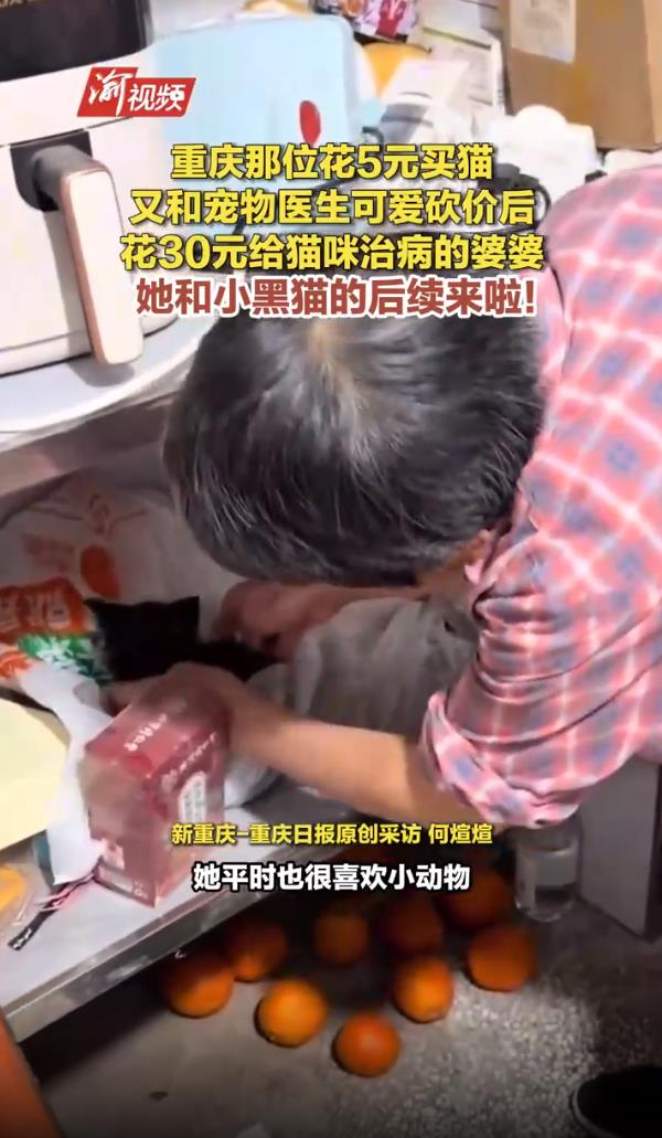 婆婆花5元买的小黑猫身价涨到85元