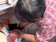 婆婆花5元买的小黑猫身价涨到85元，这只小黑猫凭啥逆袭？