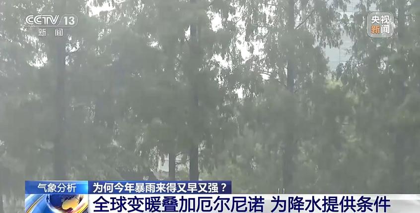 今年天气系统出现异常