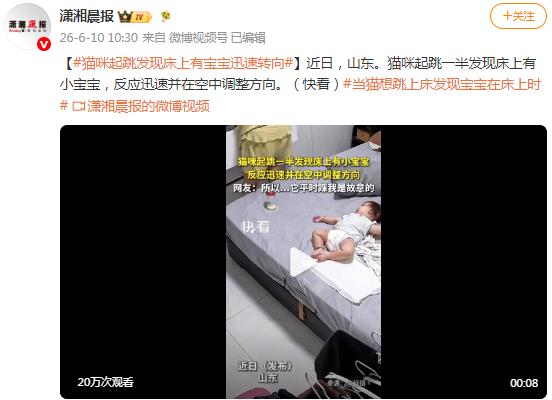 猫咪起跳发现床上有宝宝迅速转向