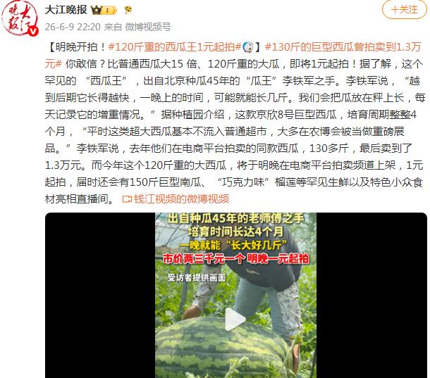 120斤重的&ldquo;西瓜王&rdquo;1元起拍