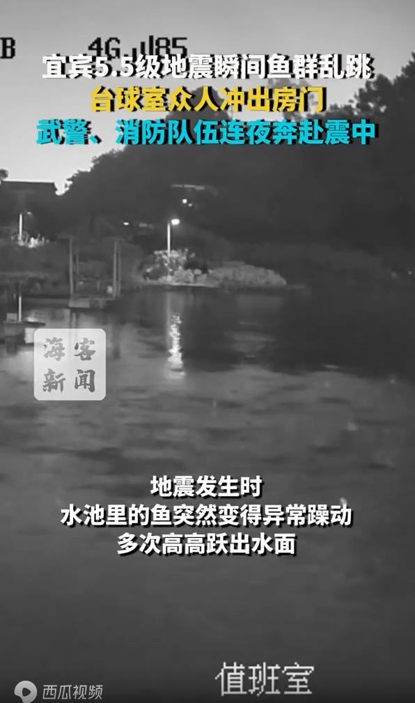 宜宾地震瞬间鱼群乱跳