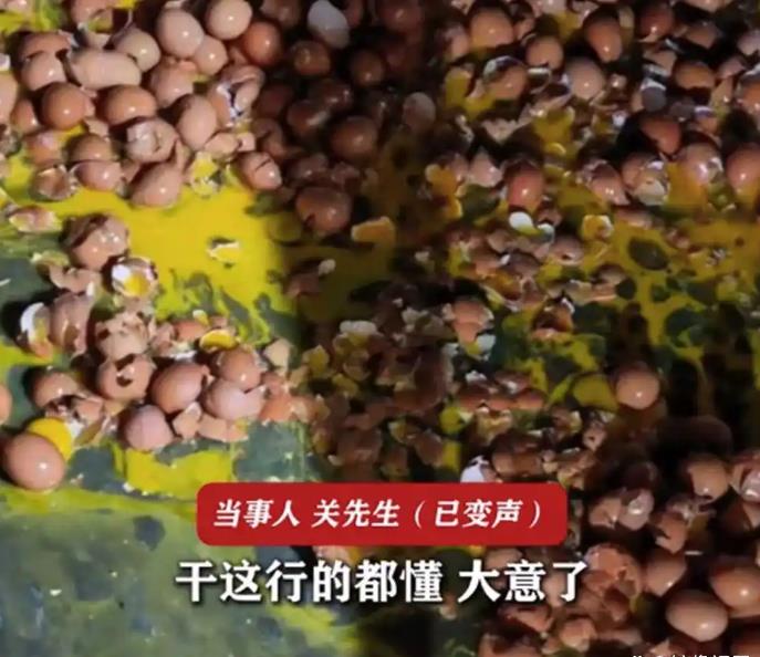 子搬运150斤黄鸡蛋瞬间全碎