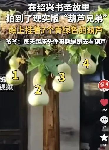 现实版“爷爷和7个葫芦娃”走红