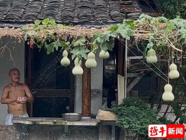 现实版“爷爷和7个葫芦娃”走红