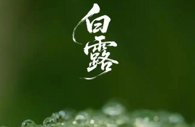今日白露,