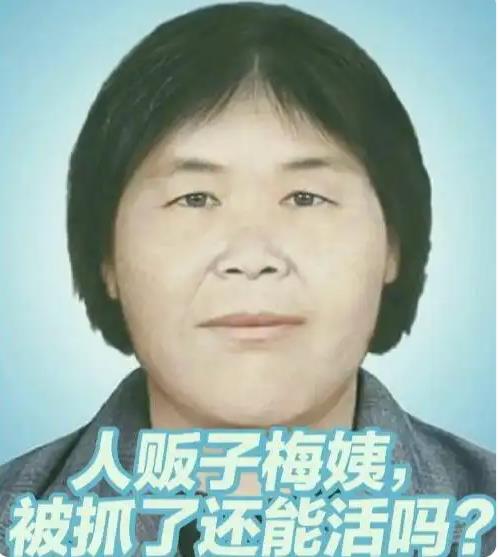 &ldquo;梅姨&rdquo;被抓时带着一个男孩生活