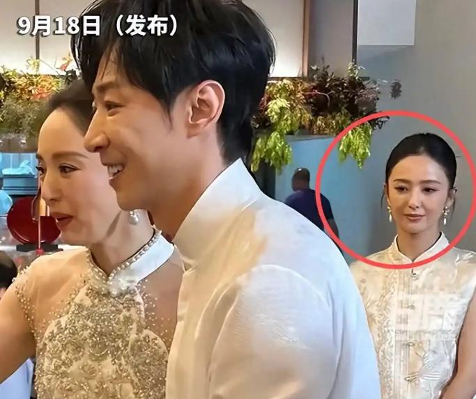 佟丽娅回应在董璇婚礼上的表情