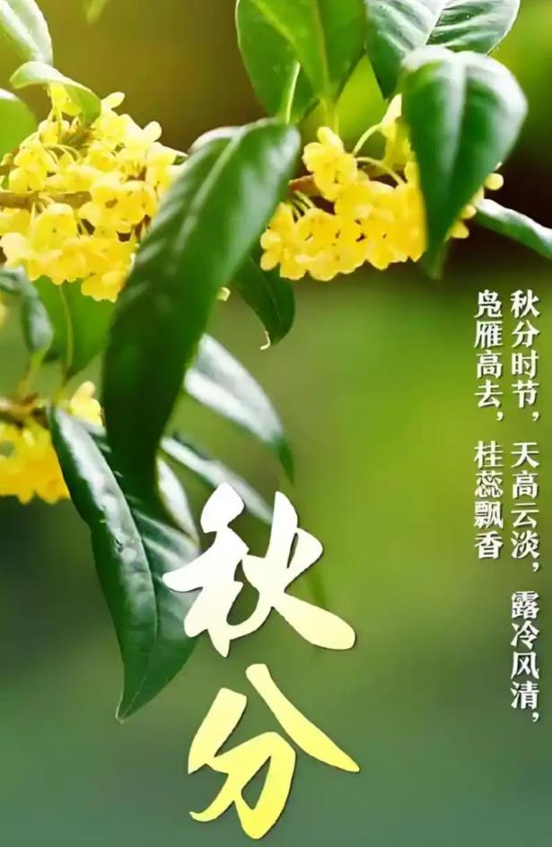 今日秋分