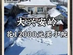 花一万二买房 年轻人去大兴安岭隐居 过上了不用上班的日子