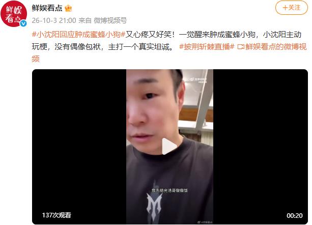 小沈阳回应肿成蜜蜂小狗
