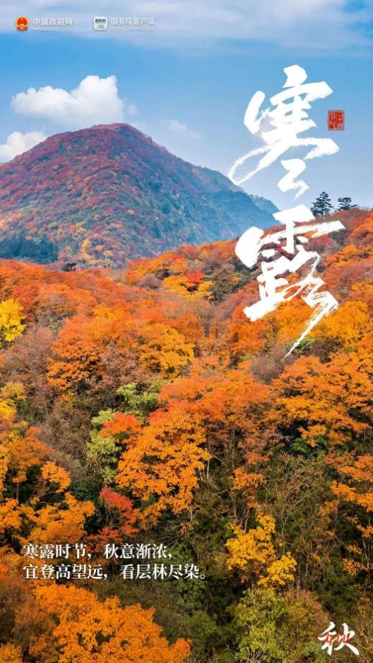 今日寒露