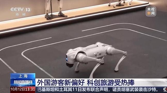 外国游客爱上中国科技