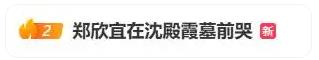 郑欣宜在沈殿霞墓前落泪
