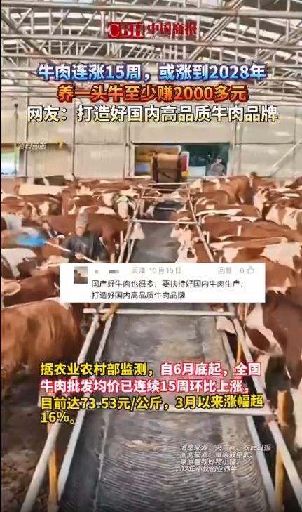 养一头牛至少赚2000多元
