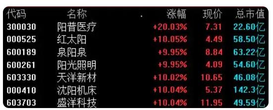 A股&ldquo;羊&rdquo;字辈多股涨停